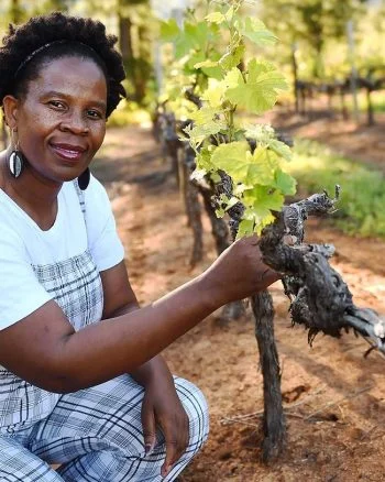 Ntsiki Biyel